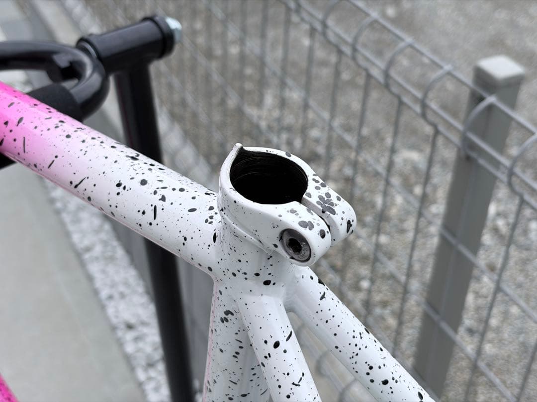 All-City オールシティ NATURE CROSS 49サイズ フレーム