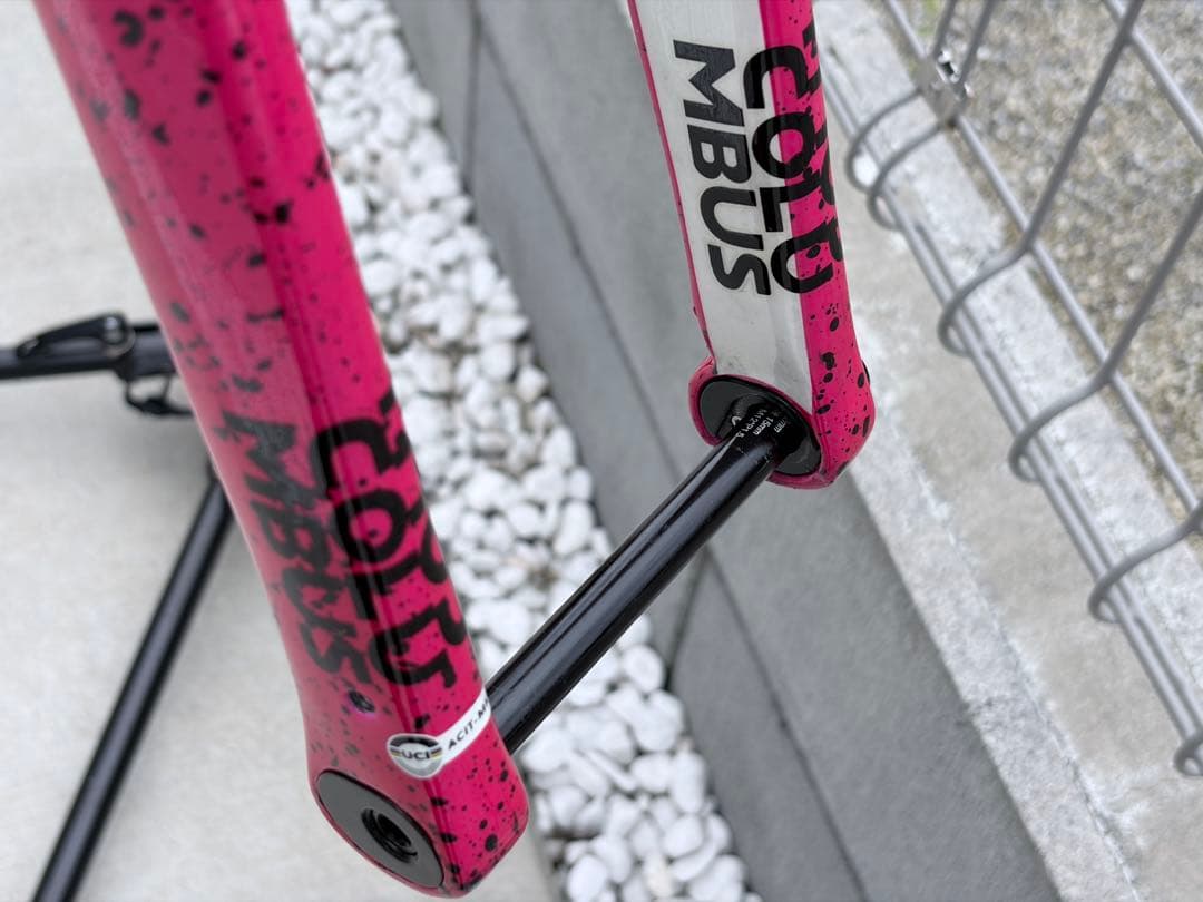 All-City オールシティ NATURE CROSS 49サイズ フレーム