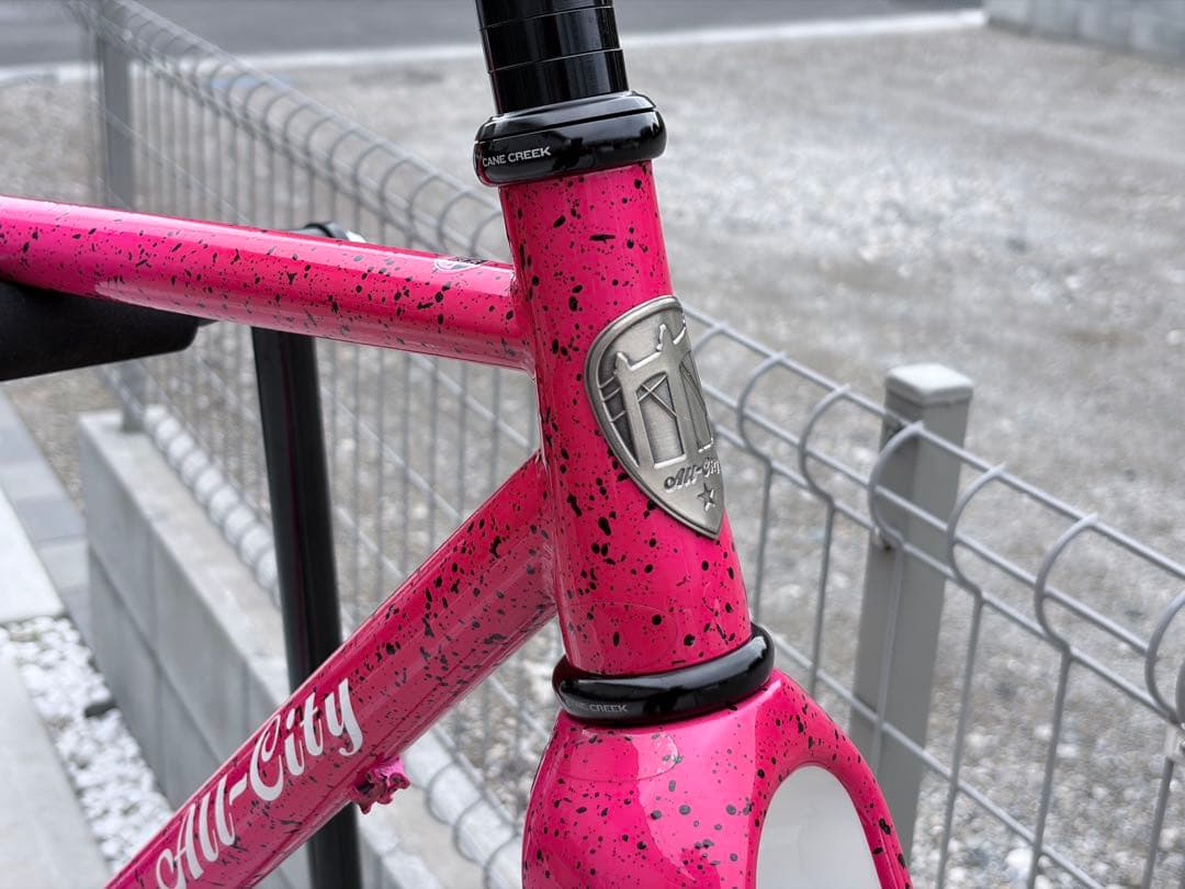 All-City オールシティ NATURE CROSS 49サイズ フレーム