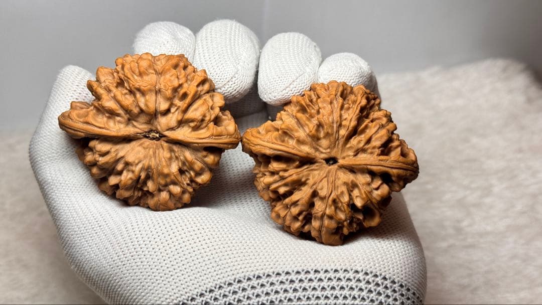 极品矮桩官帽53