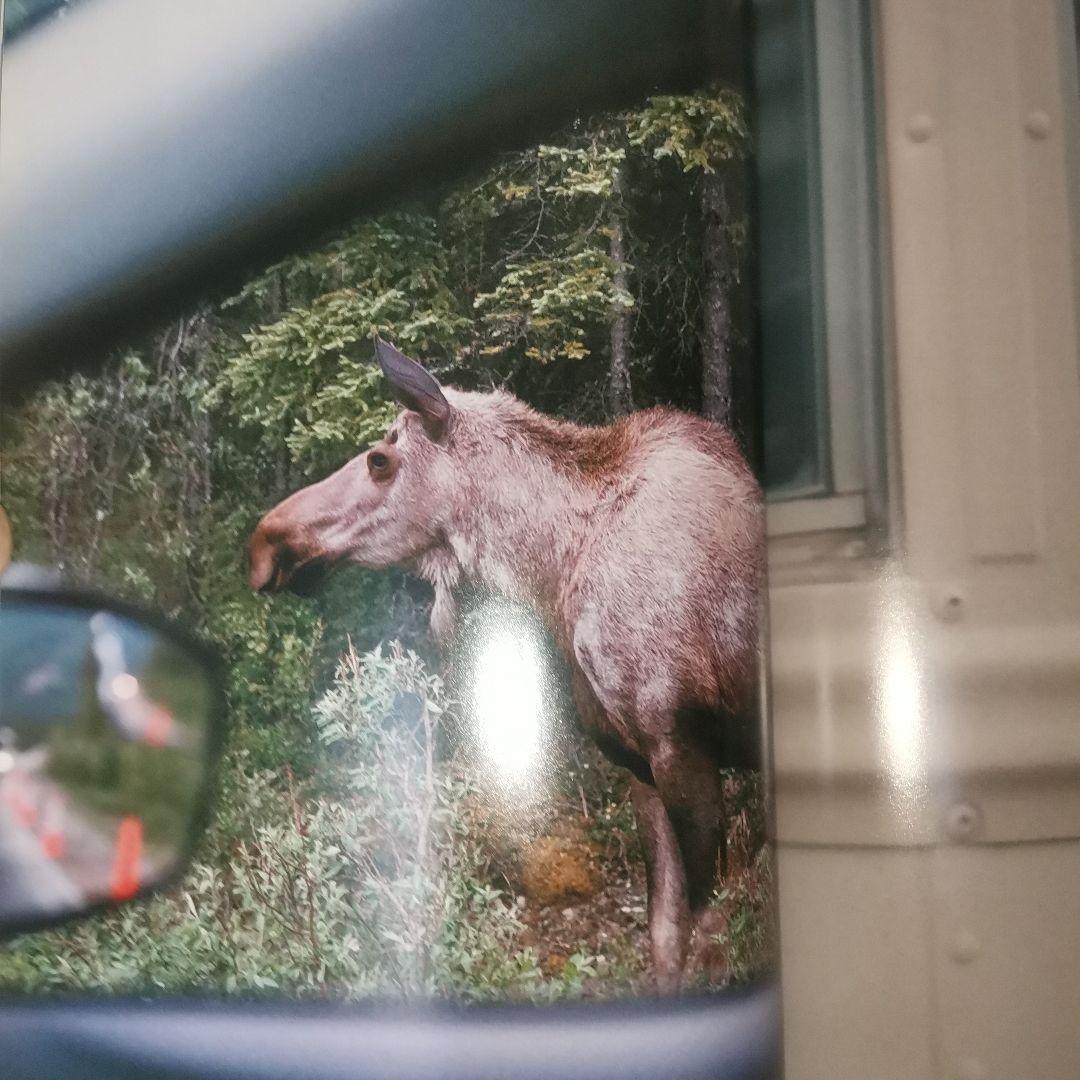 【希少・初版】成重松樹 写真集 alaskalaska アラスカ 旅 絶版