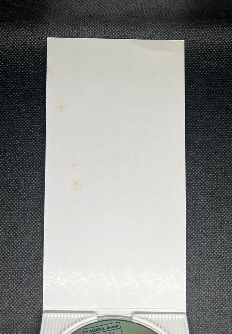 [ 希少 ] P-MODEL demo DSS-001 not for sale