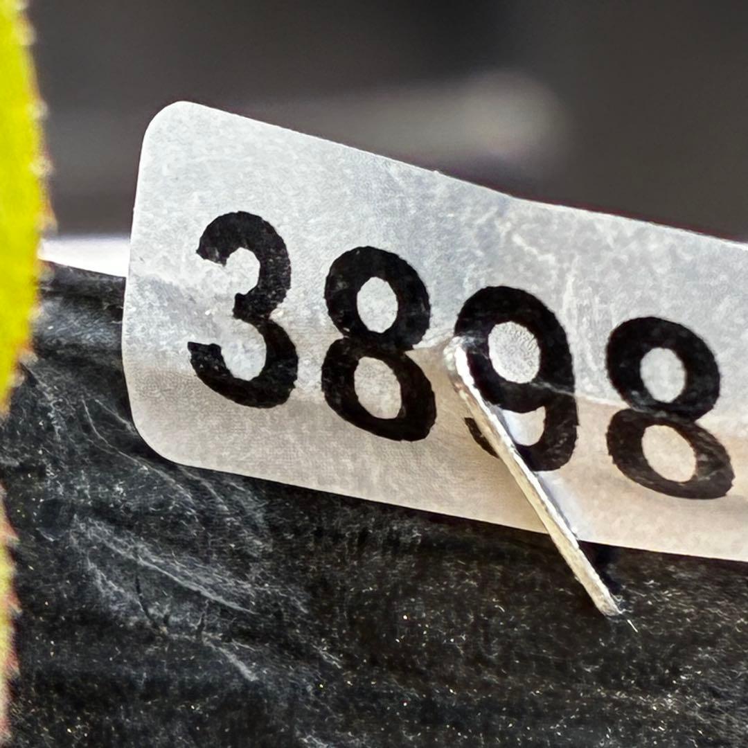 3898☘️1年間管理株☘️⭐️正統派⭐️美人⭐️ツートンカラー⭐️小輪⭐️樋口さん⭐️