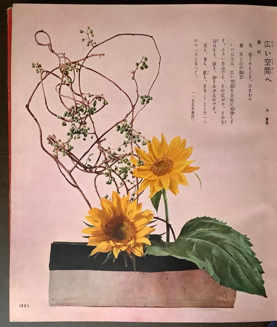 草月の家庭生花 勅使河原蒼風 霞 著　主婦の友社 【1957】