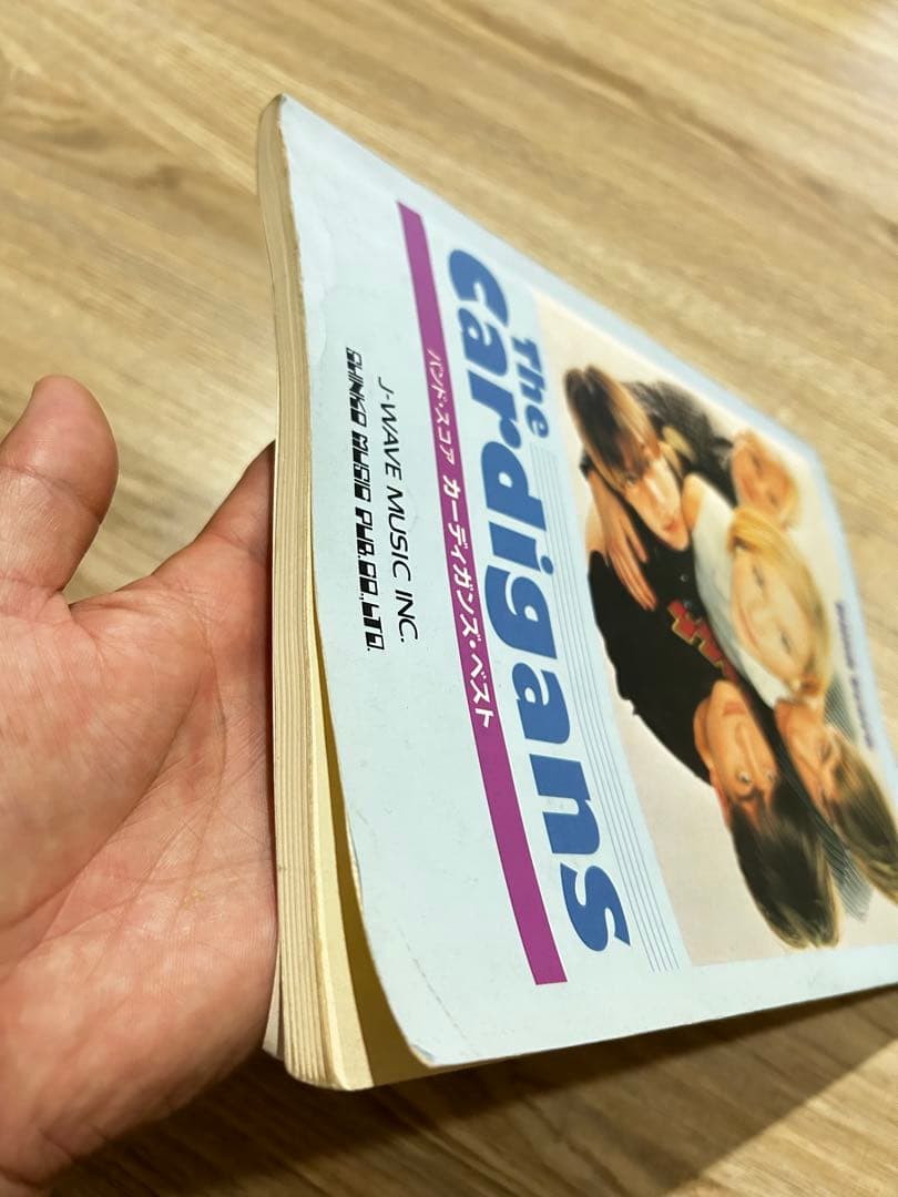 バンドスコア　カーディガンズ ベスト　the cardigans