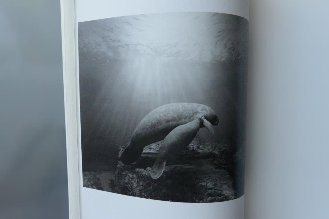 【Hiroshi Sugimoto: Dioramas/杉本博司】