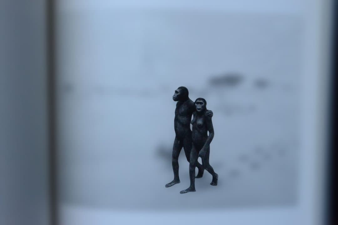 【Hiroshi Sugimoto: Dioramas/杉本博司】