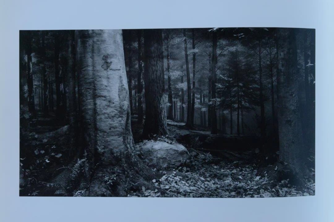 【Hiroshi Sugimoto: Dioramas/杉本博司】