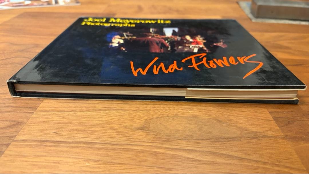 アート・デザイン・音楽 Joel Meyerowitz Wild Flowers