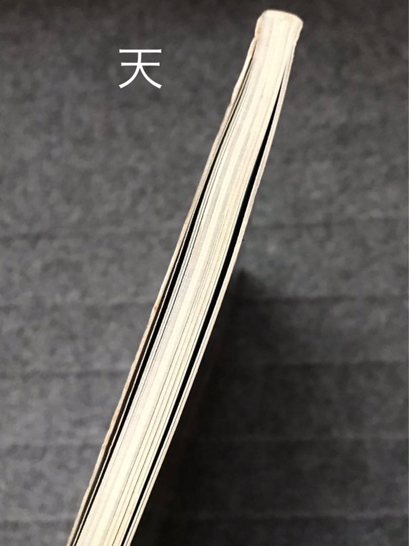 Babyland / ホンマタカシ TAKASHI HOMMA