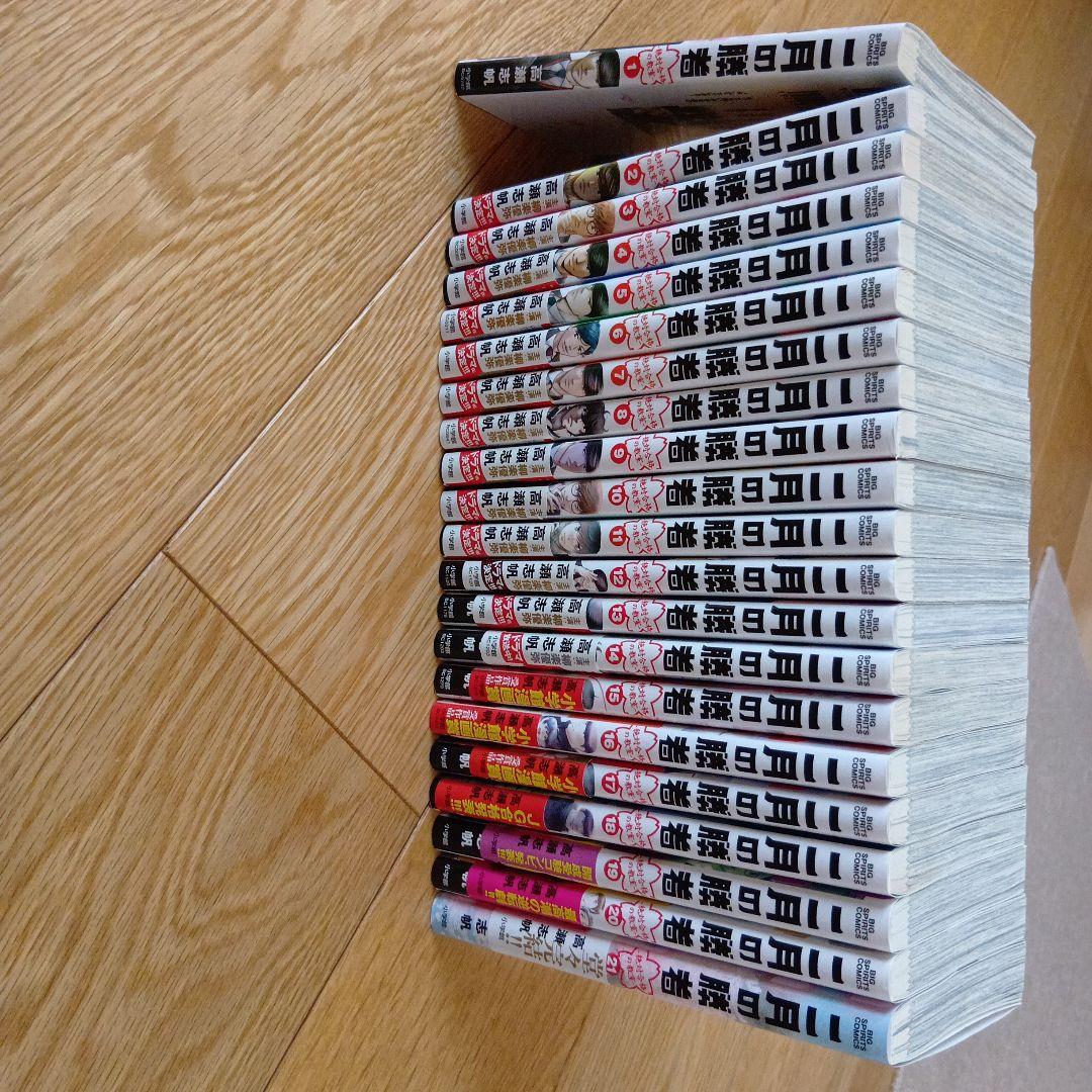 二月の勝者　全巻揃い　高瀬志帆