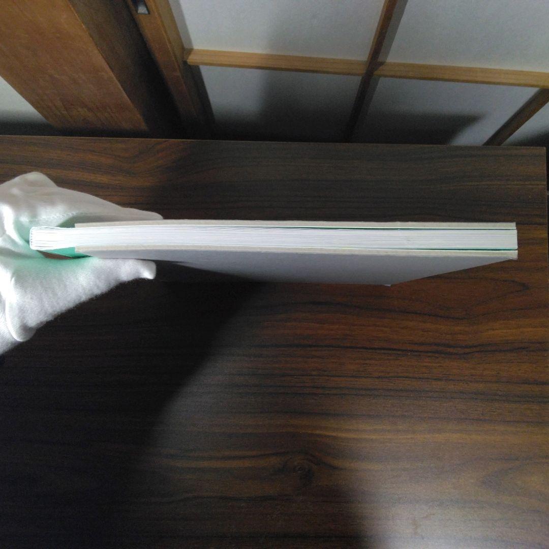 TOMOKAZU MATSUYAMA 松山智一　図録