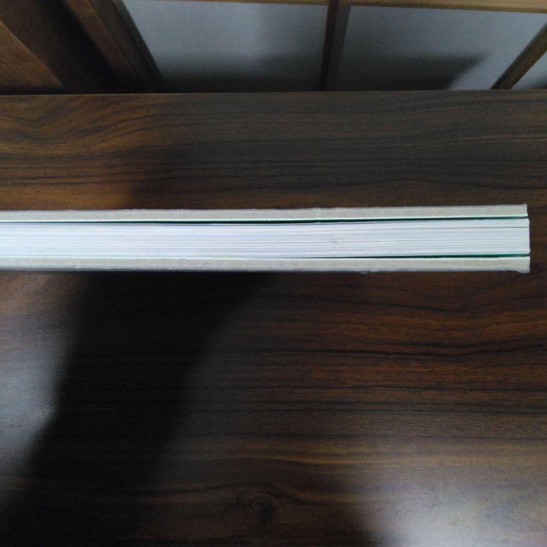 TOMOKAZU MATSUYAMA 松山智一　図録