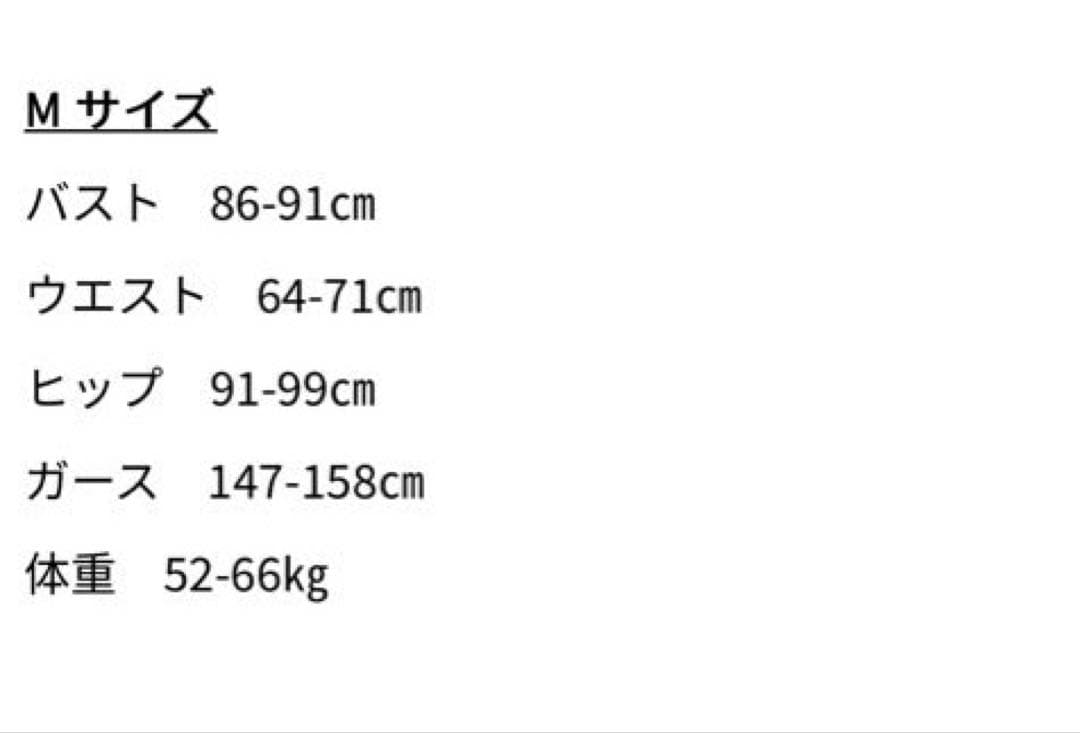 ゲイナーミンデン レースレオタードMサイズ