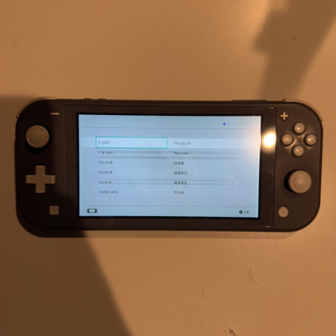 d*9様 Nintendo Switch Lite ジャンク品 グレー　動作確認