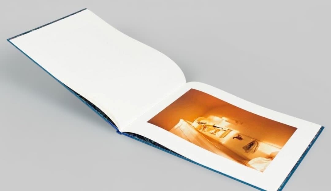 【William Eggleston：Morals of Vision】★★新品