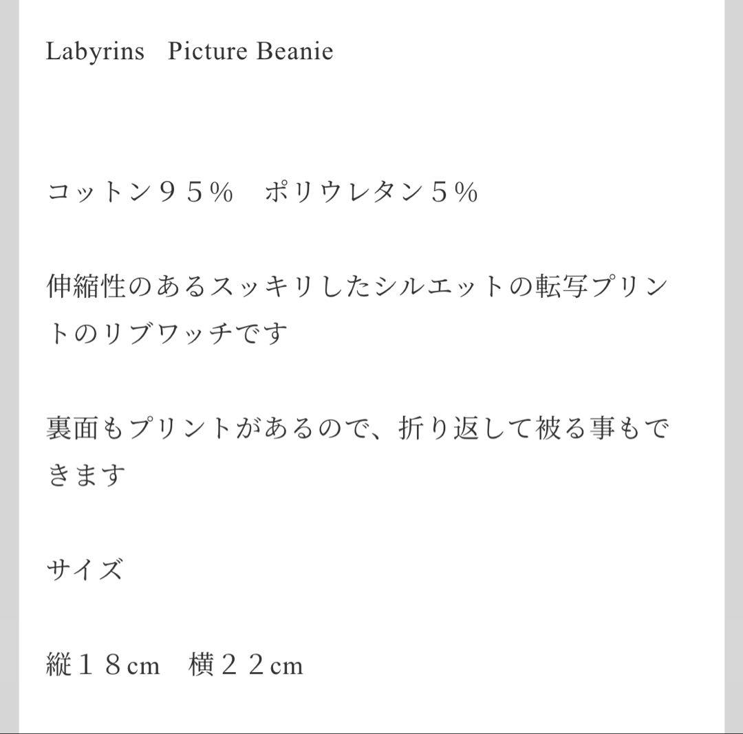 帽子 Labyrins picture beanie 10