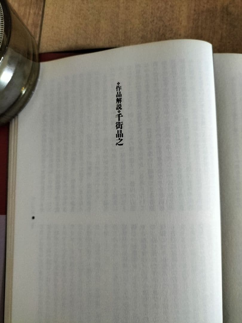 皆川博子作品精華 ミステリー編(迷宮) 千街晶之　選　『初版本』帯有り