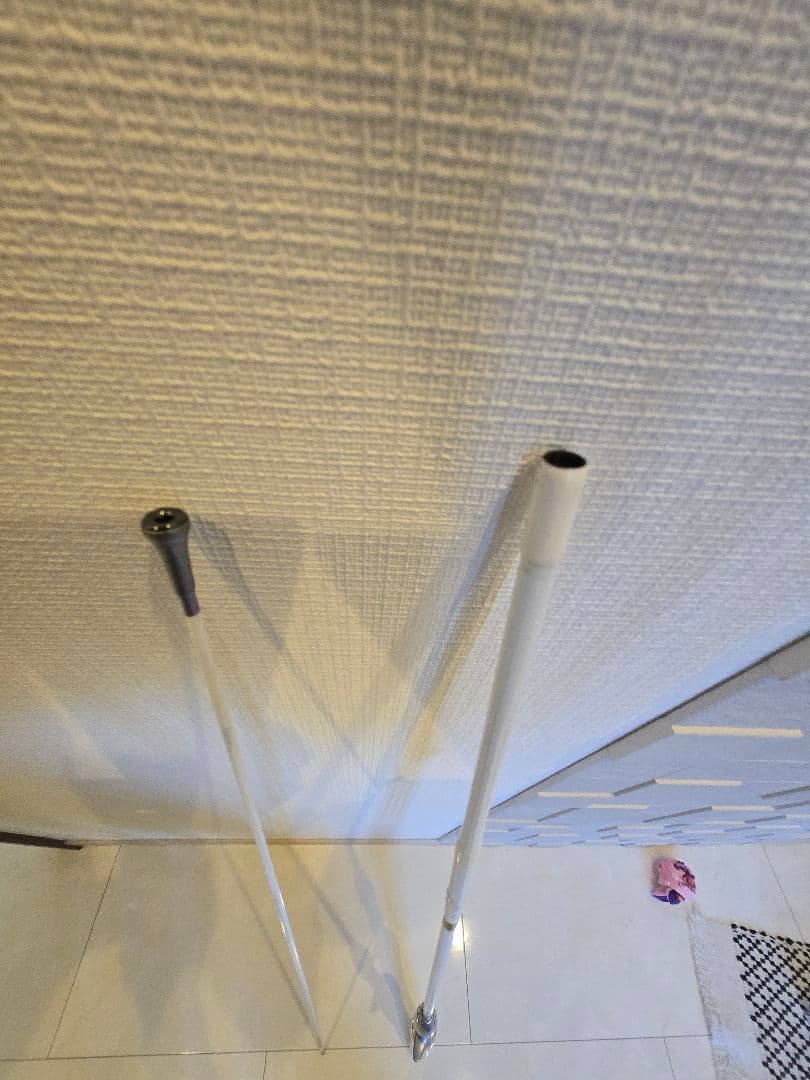 プロキャスター Z　DAIWA