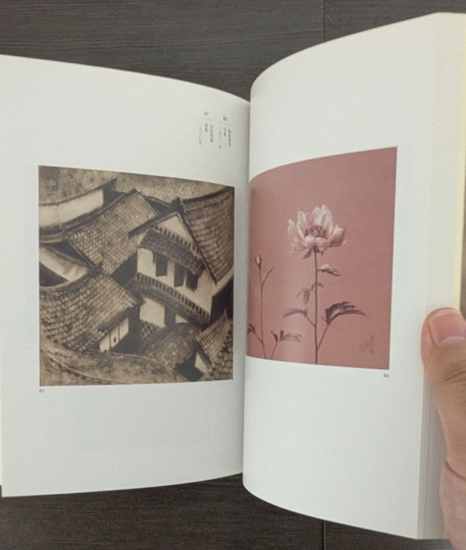 芸術写真の精華 日本のピクトリアリズム珠玉の名品展　図録