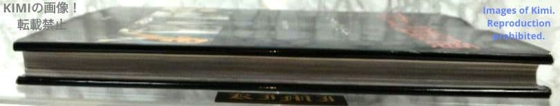 マグナム20世紀の顔 ヒーロー&アンチヒーロー 大型本 1992 初版第1刷発行