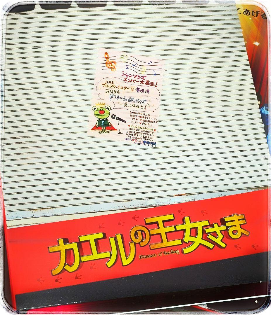 【未使用 美品】配信なし 入手困難 絶版 カエルの王女さま DVD-BOX 7枚