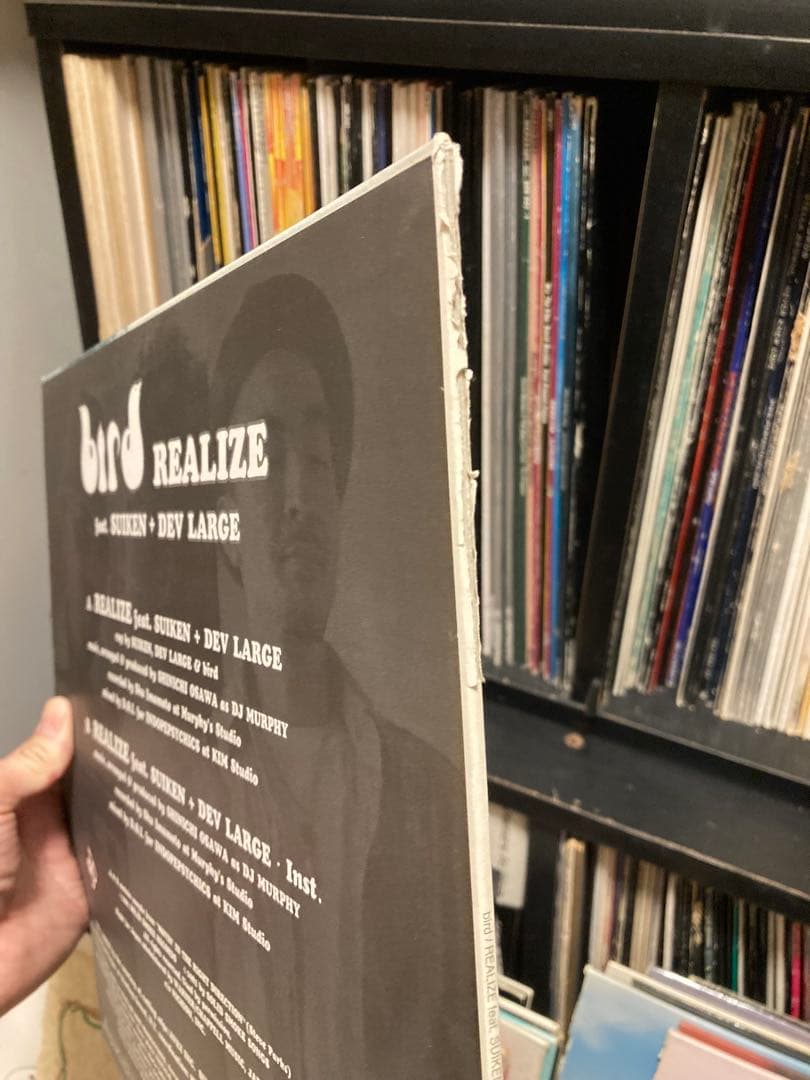 Bird レコード 7枚セット 大沢伸一 DEV LARGE SUIKEN