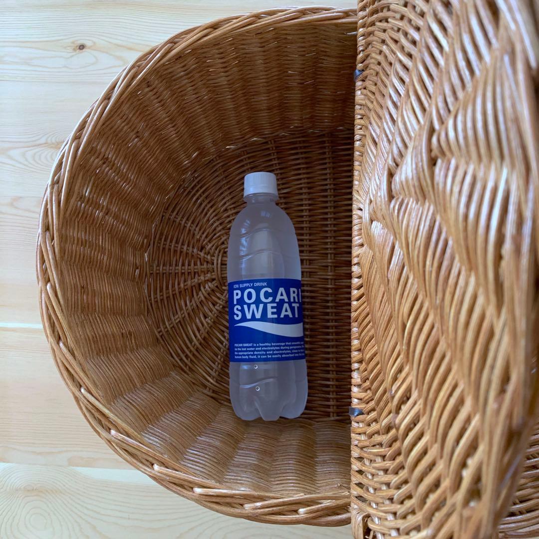 ラタン　籐バスケット　ピクニックバスケット　特大サイズ