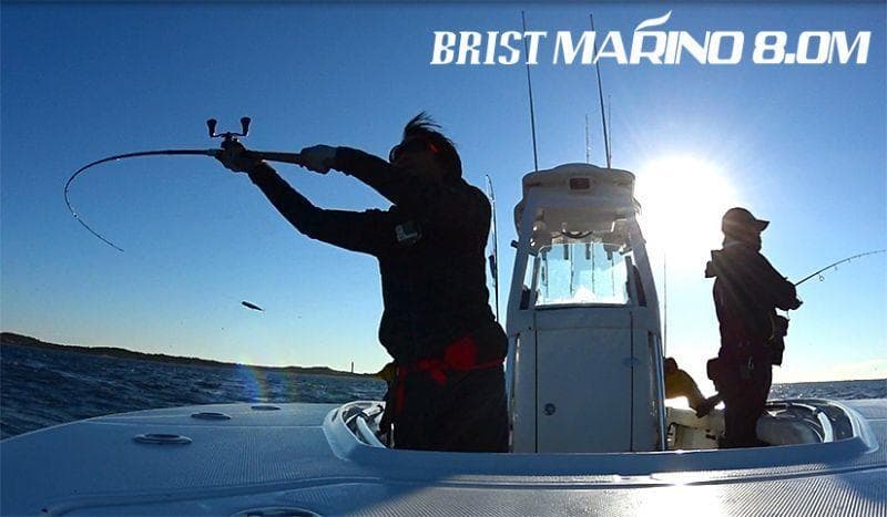 【Fishman】BRIST MARINO 8.0M /*