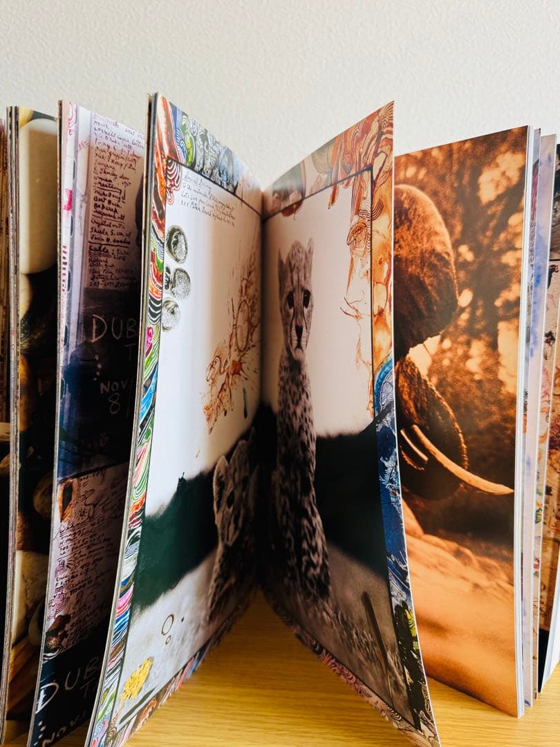 ピーター・ビアード（インブンデッ ネイマ・ビアードとデイヴィッドフェイヒー