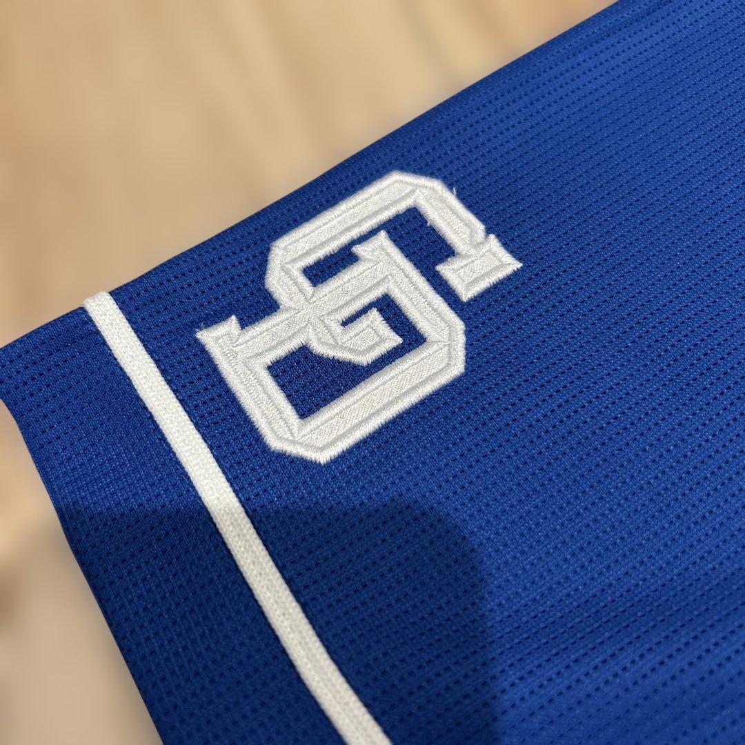 ⭐︎レア‼︎ Mizuno ミズノ 中日ドラゴンズ 17 柳裕也 ユニフォーム