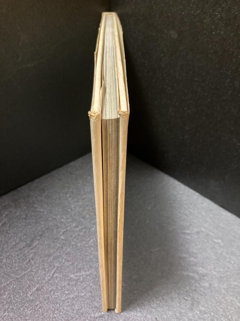 NABESAN―内藤忠行写真集 (1977年)