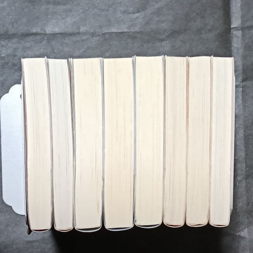 凪良ゆう8冊 花嫁はマリッジブルー 花嫁は今夜もブルー 全ての恋は病から