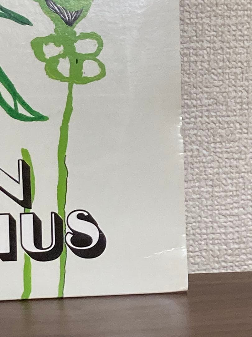 Stephen Malkmus の　Face the Truth LP