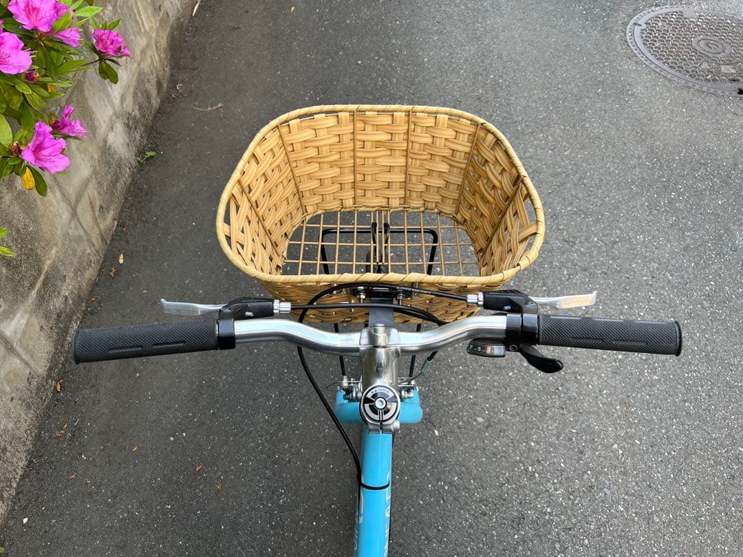 ルイガノ LOUIS GARNEAU LGS-J22 PLUS 22インチ