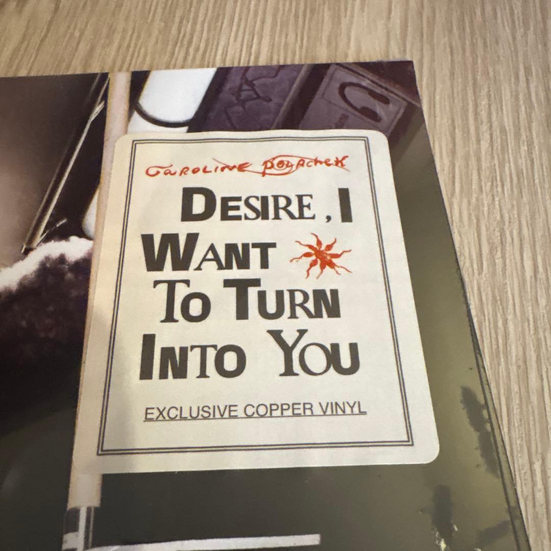 洋楽 Caroline Polachek / Desire, I Want To ~