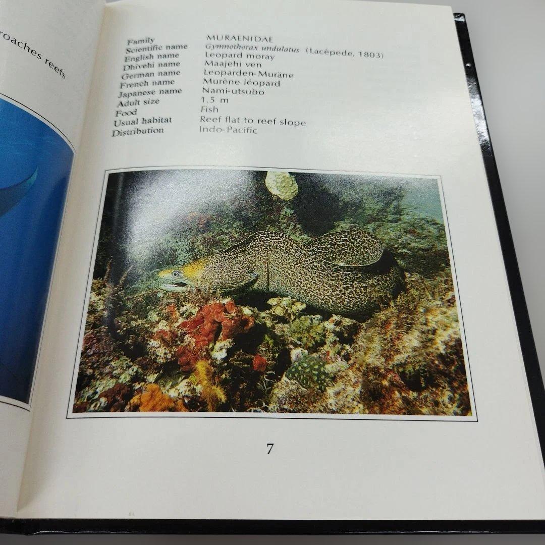 Common Reef Fishes of the Maldives 3冊揃い