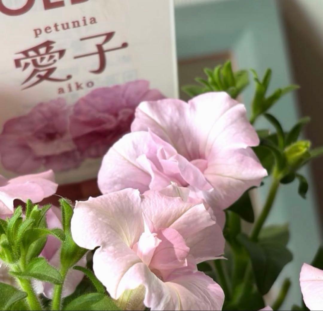 ぷらむ様　リクエスト　おまとめ５点