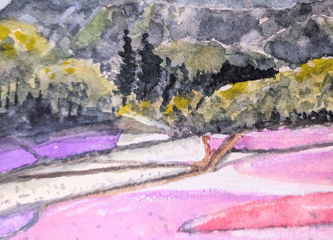 のら京様イメージ《 秩父 羊山公園 芝桜 と 武甲山 》