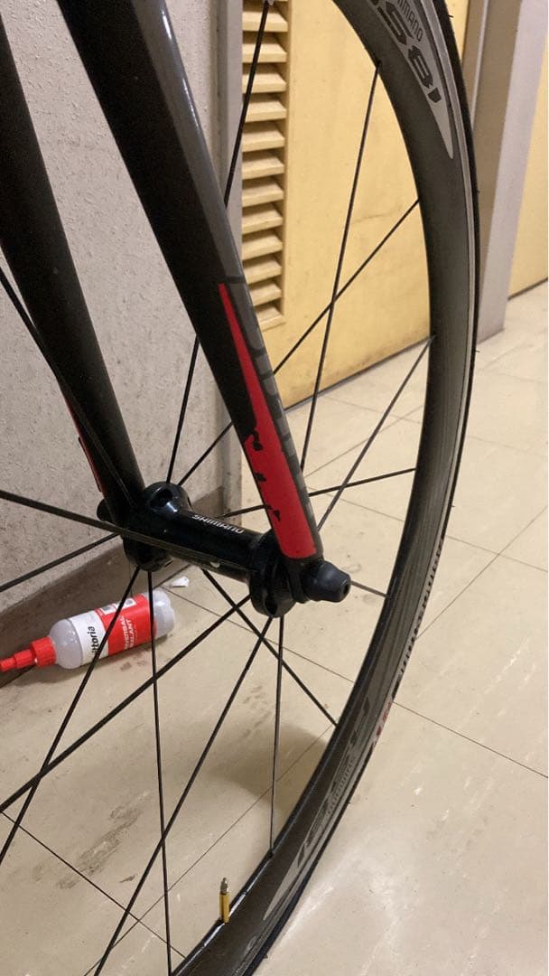 パラジョル　2018 GIANT TCR SLR2