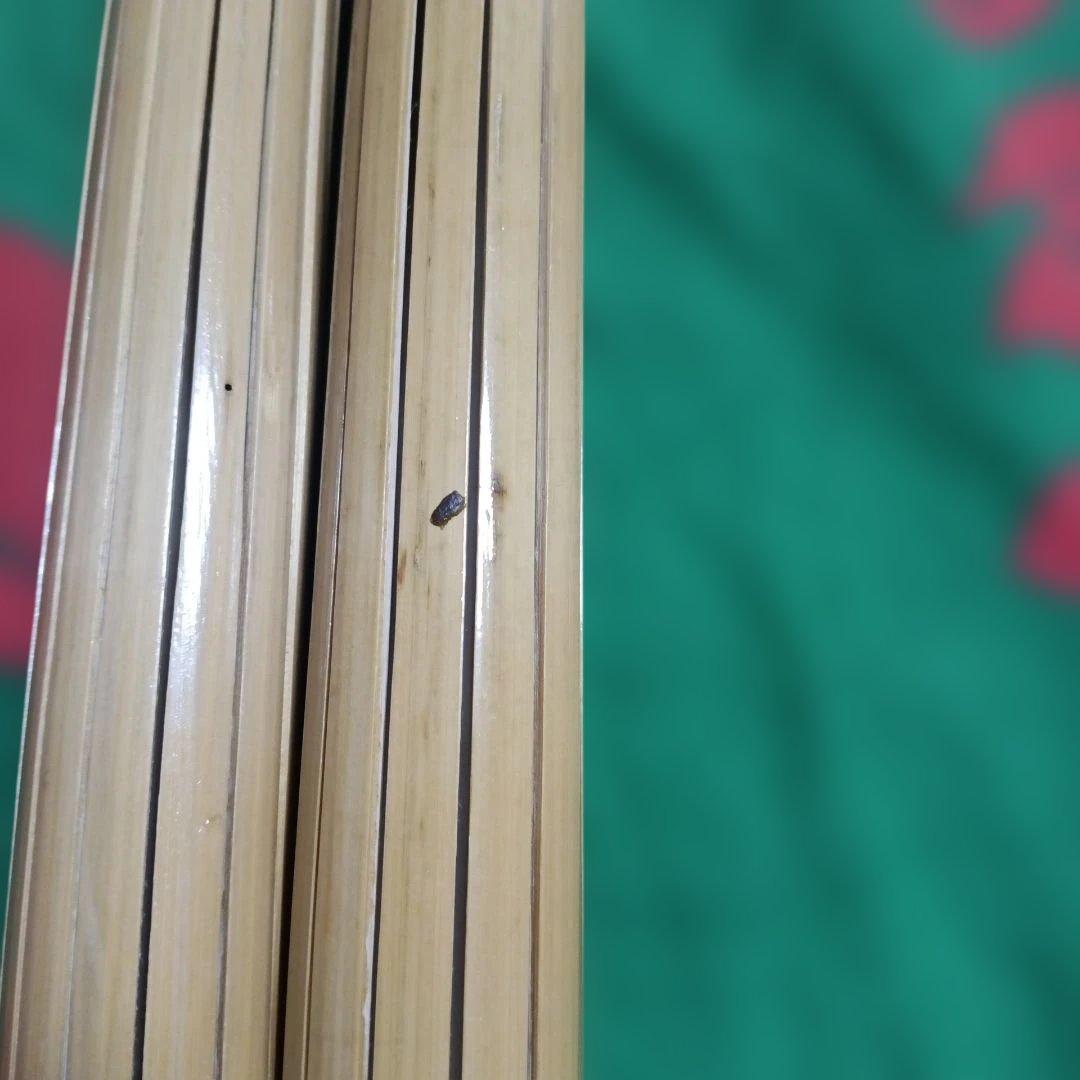 フラダンス用竹製楽器　プイリ