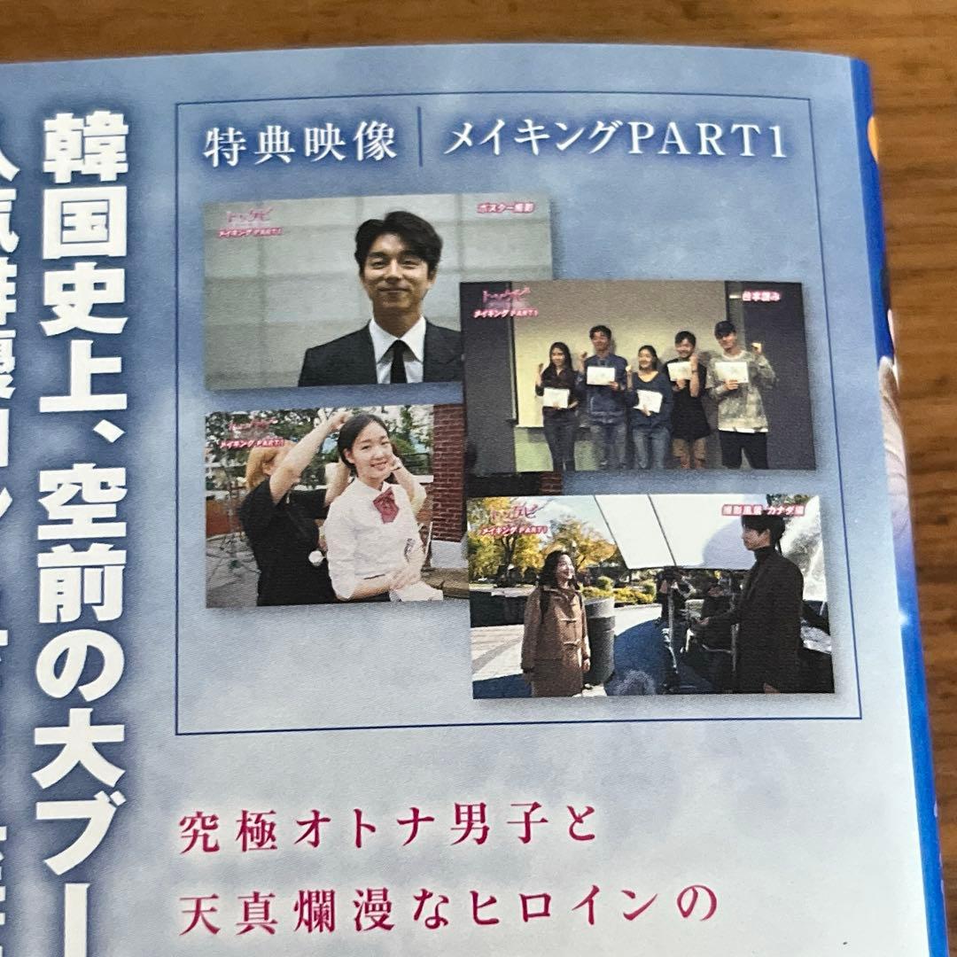 トッケビ 君がくれた愛しい日々 DVD 全15巻＋召喚スペシャル 全巻セット
