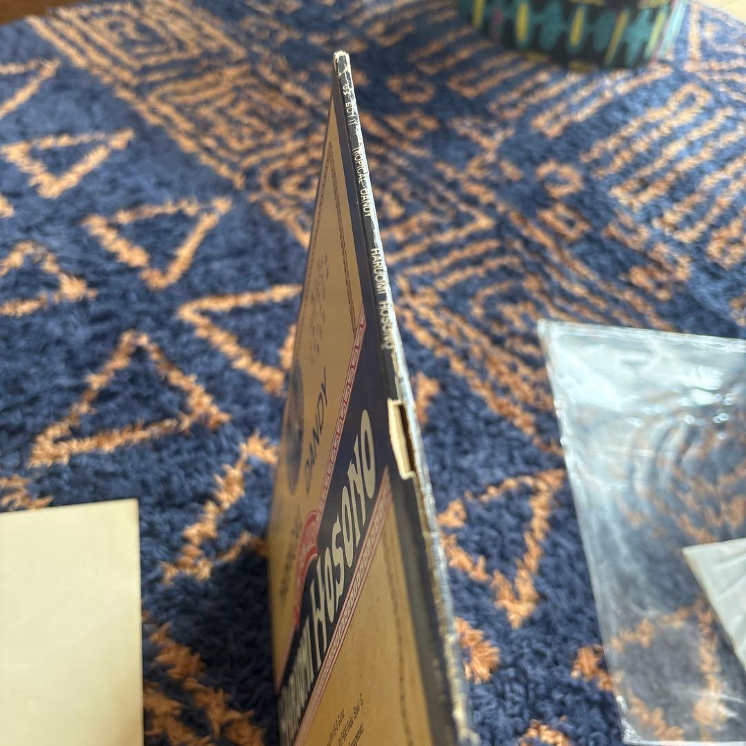 細野晴臣　 Tropical Dandy トロピカルダンディー