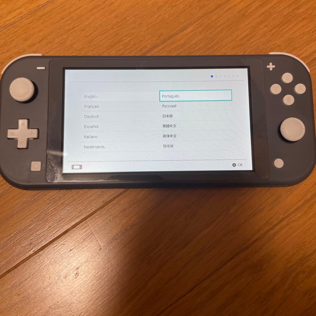 【ジャンク】Nintendo Switch Lite 本体 ACアダプター付き