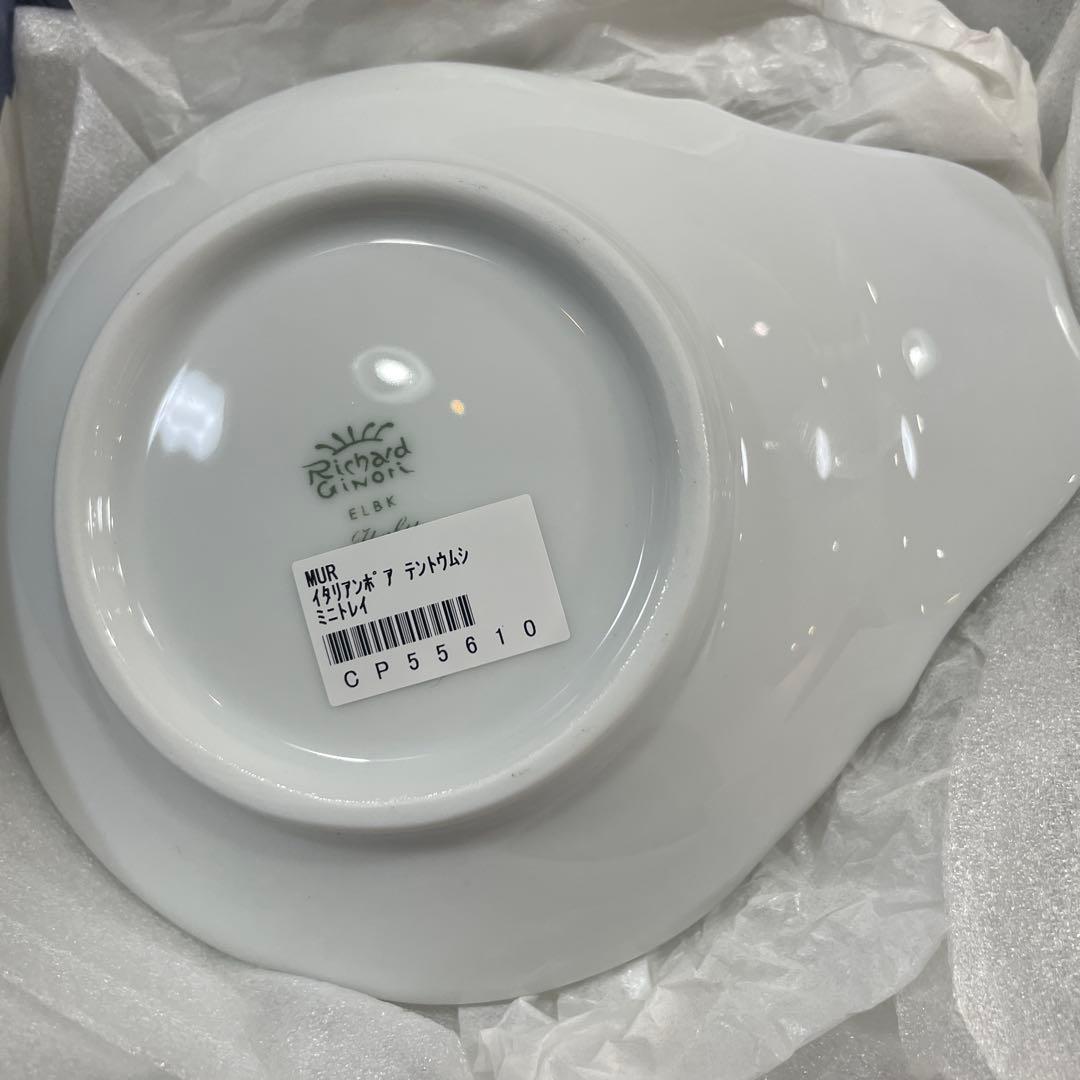 リチャード・ジノリ　イタリアンポア　ペアミニトレイ新品未使用