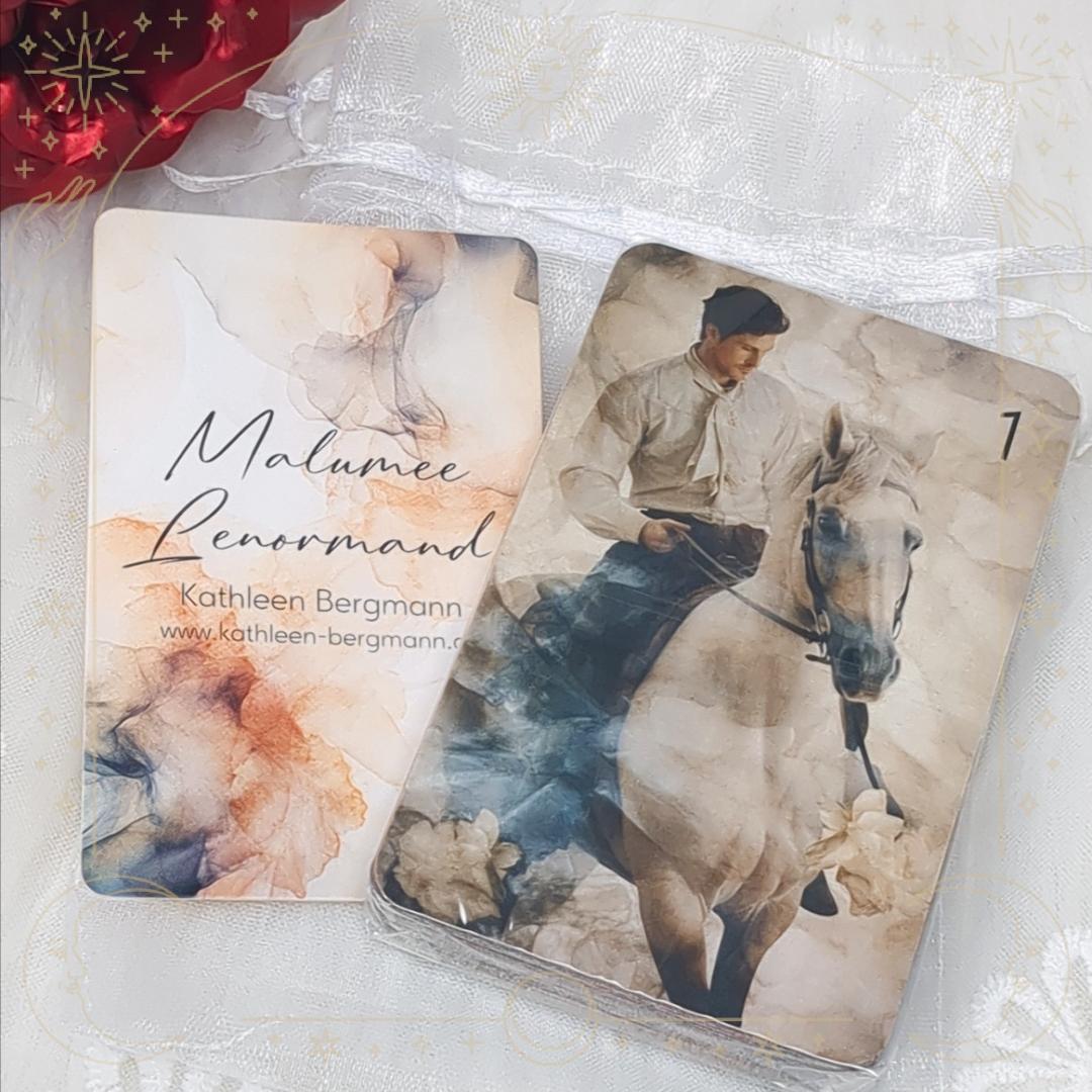 新入荷✨ドイツの美麗デッキ✨入手困難品✨インクアート×チュールの優美なルノルマン