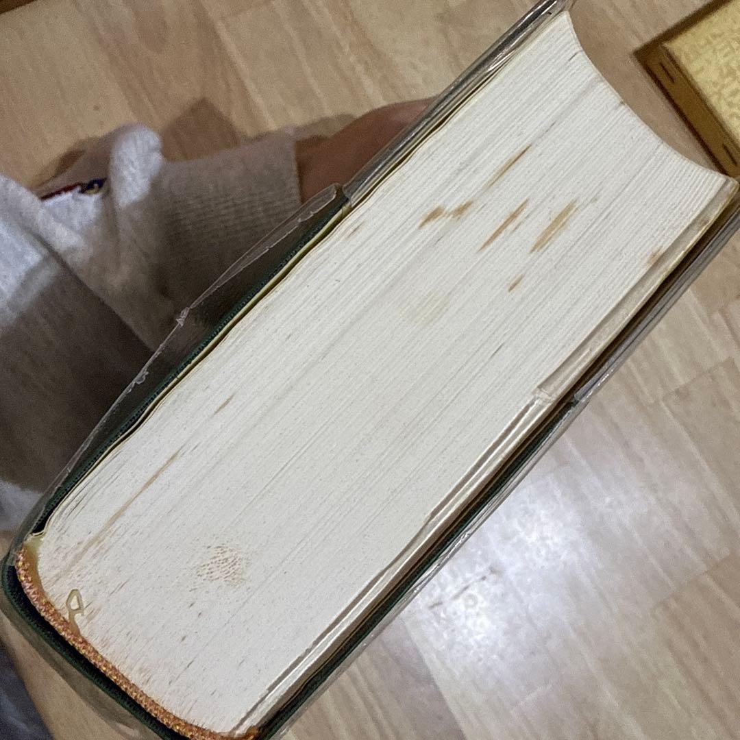 大新明解日華辞典 大新書局