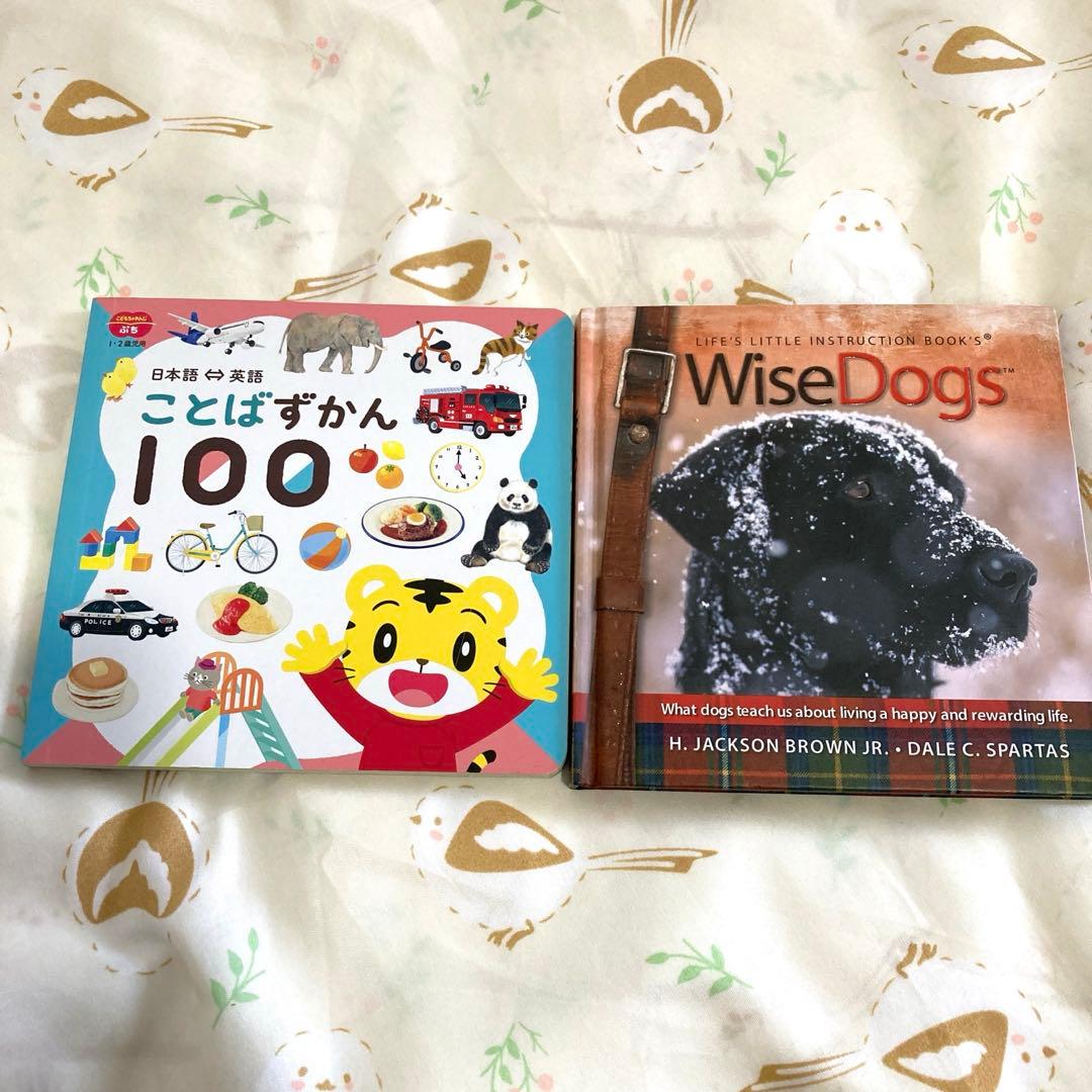 英語　絵本　14冊＋2冊　まとめ　洋書