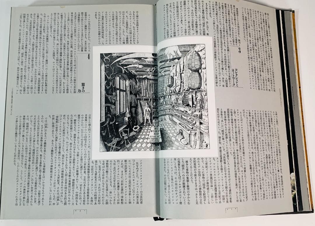 31年前の1993年◆「想像力博物館」　著者: 荒俣宏