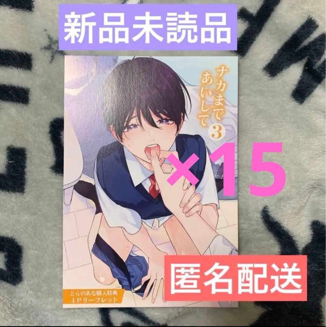 ナカまであいして　とらのあな　リーフレット　新品②